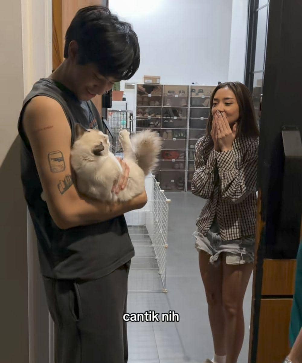 Devano Hadiahkan Kucing Ragdoll Tercantik Buat Baila Fauri 2