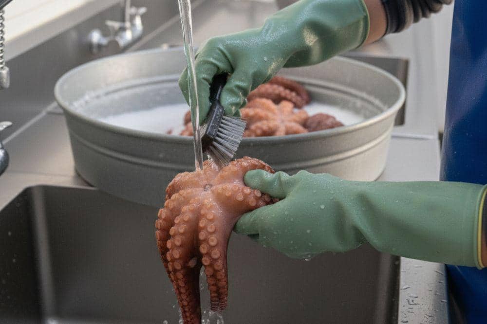 7 Cara Membersihkan Gurita Agar Tidak Amis dan Tetap Empuk