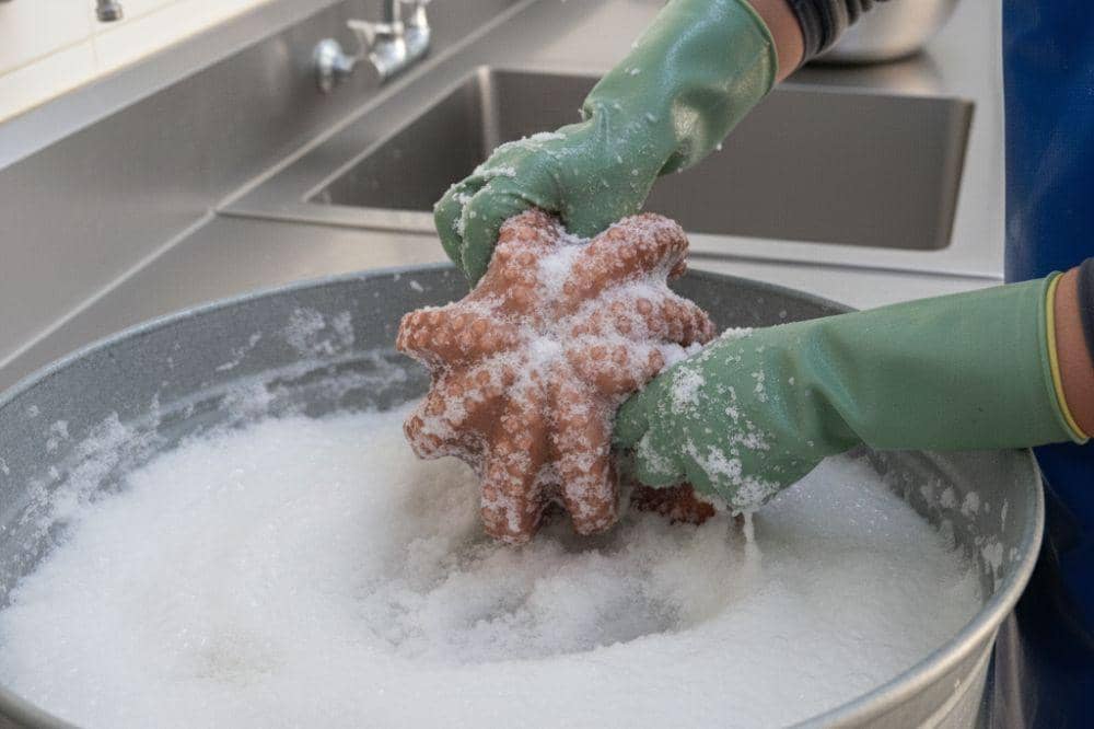 7 Cara Membersihkan Gurita Agar Tidak Amis dan Tetap Empuk