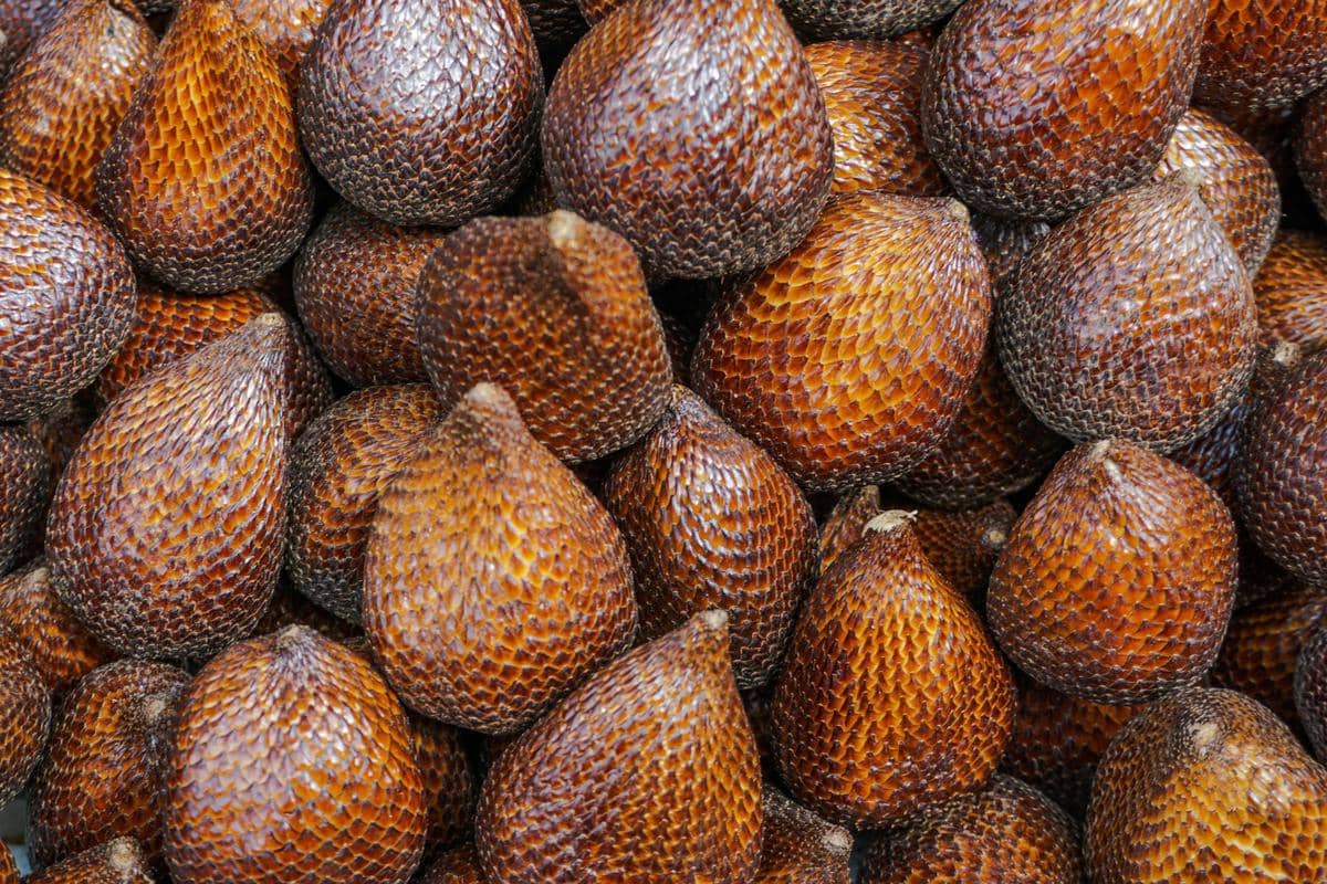 salak