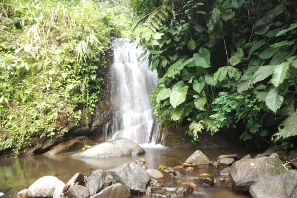 8 Curug di Gunung Salak dengan Trek Seru dan Pemandangan Hijau - Curug Ciputri