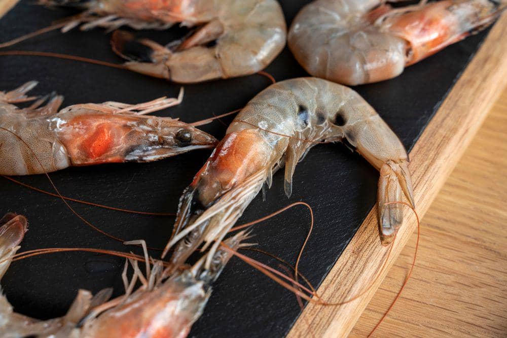 10 Meal Plan Udang untuk Anak agar Tidak Mudah Alergi