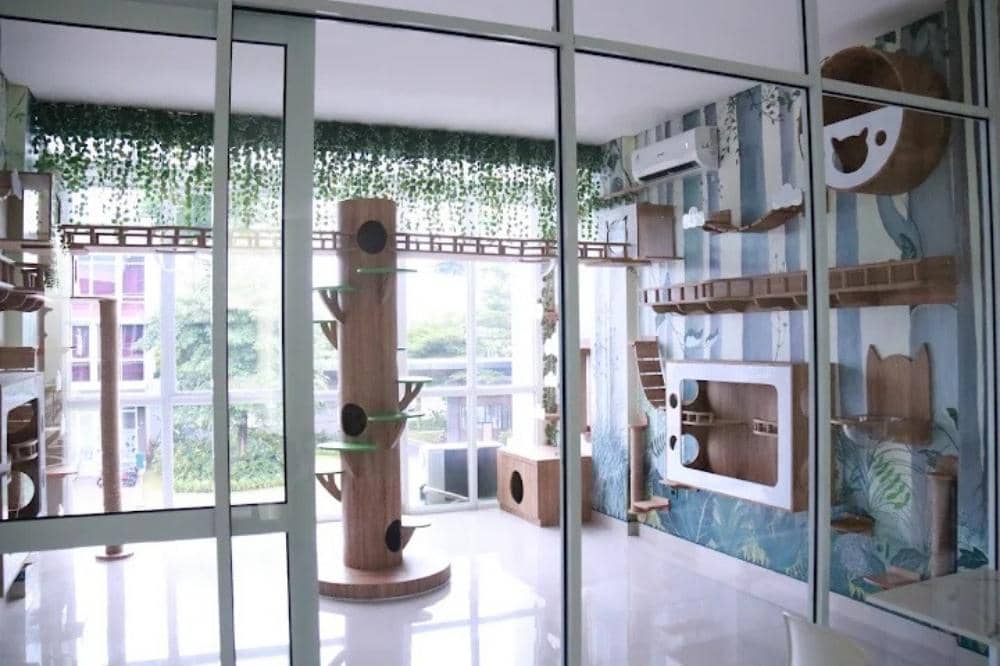 6 Rekomendasi Cafe Cat di Jakarta dan Sekitarnya, Surga Pecinta Kucing.jpg