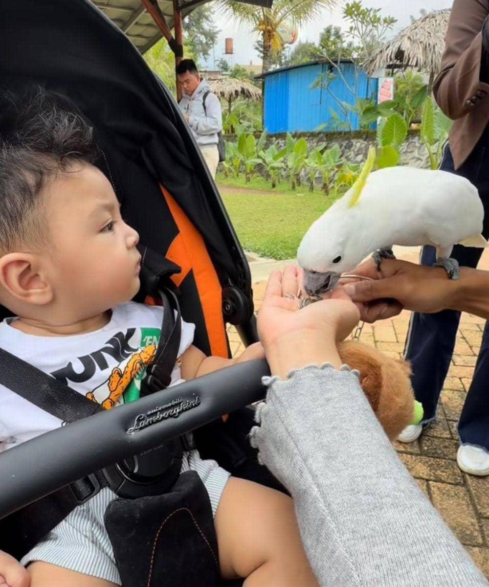 Instagram.com/raxneil_