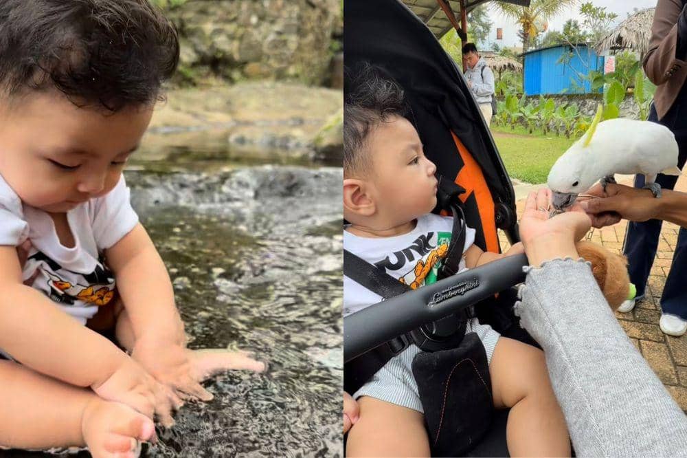 7 Foto Erika Carlina Kenalkan Alam dan Satwa pada Andrew