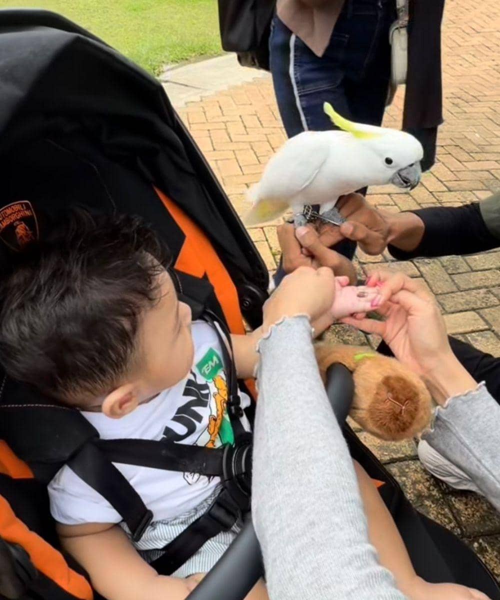 Instagram.com/raxneil_