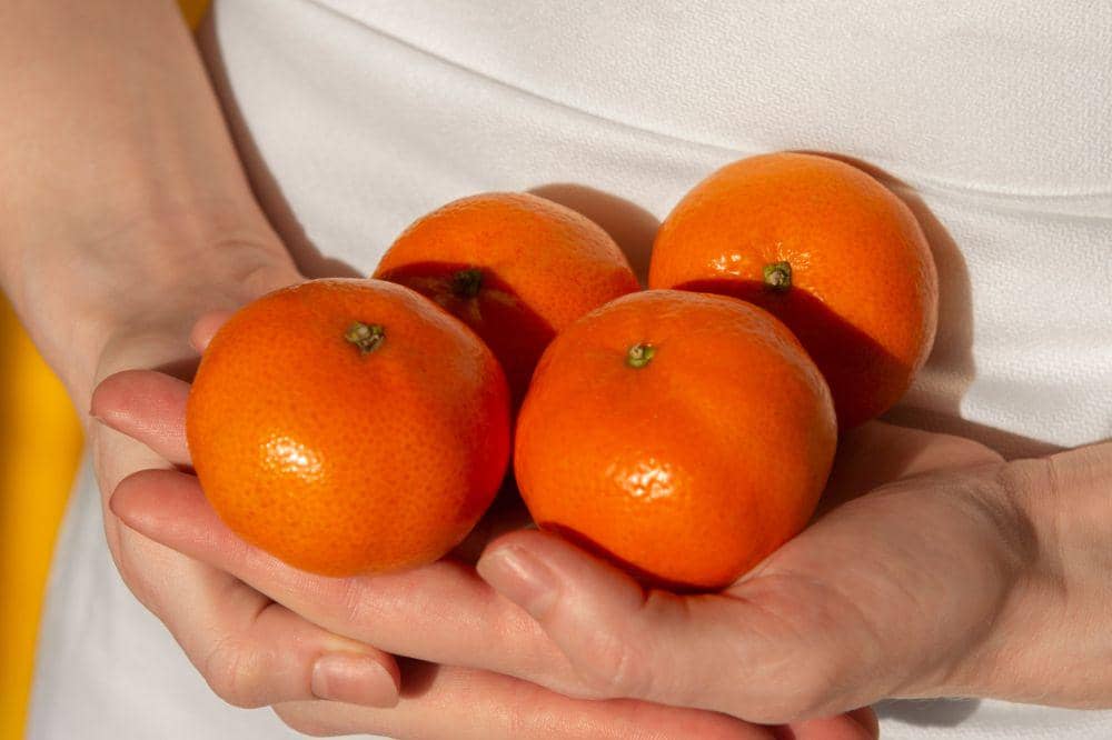 7 Makanan untuk Mengatasi Wajah Kusam saat Hamil 2