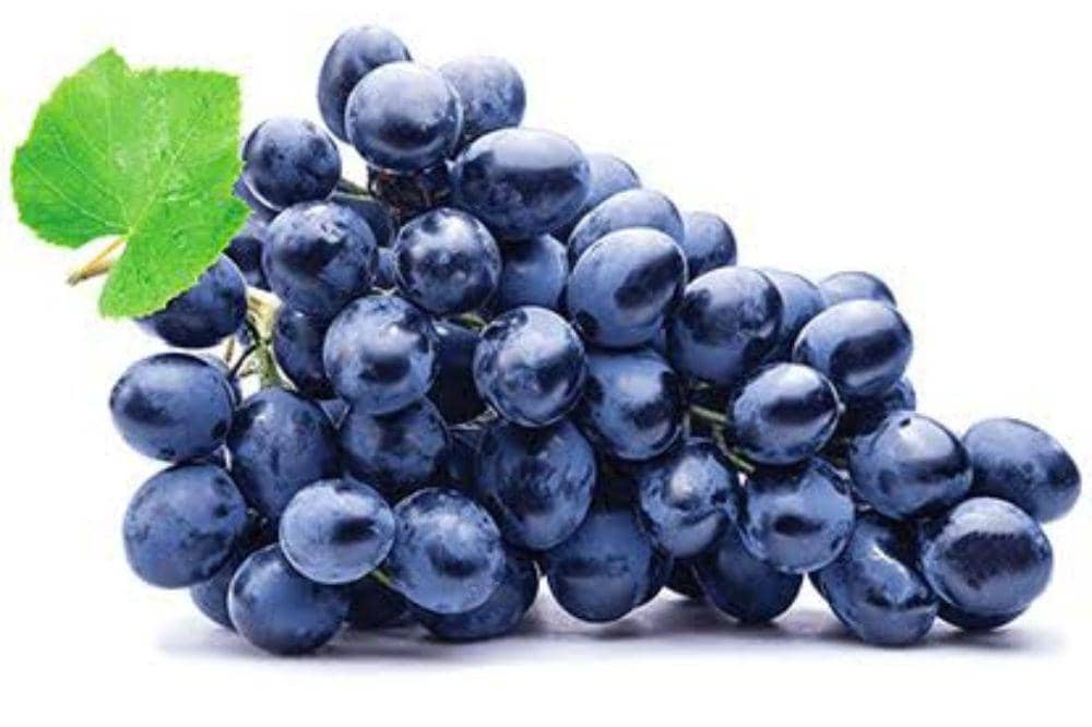 10 Jenis Anggur Beserta Ciri-Cirinya, Ada yang Unik dan Premium!  (6).jpg