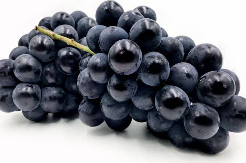 10 Jenis Anggur Beserta Ciri-Cirinya, Ada yang Unik dan Premium!  (9).jpg