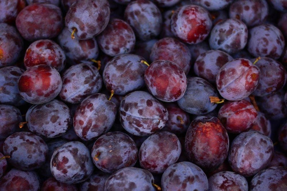 Pixabay/congerdesign