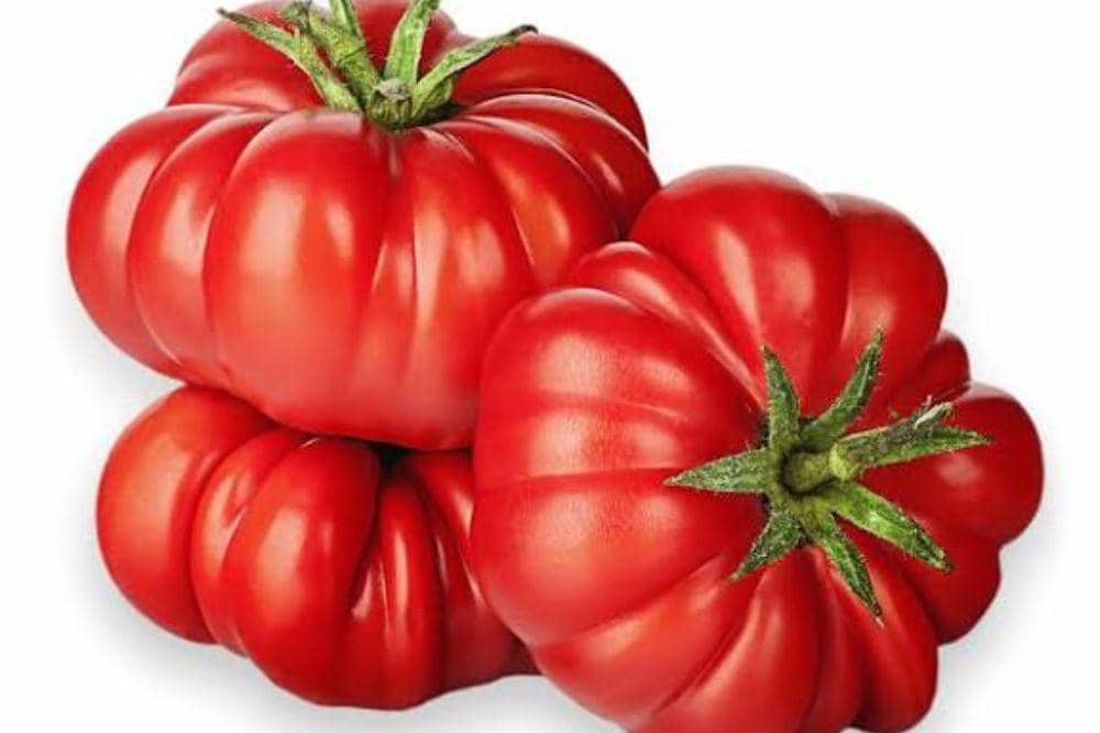 6 Jenis Tomat dan Karakteristiknya untuk Berbagai Masakan (6).jpg