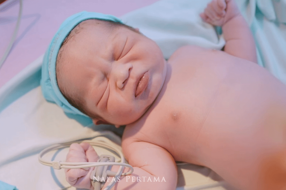 Instagram.com/celloszxz