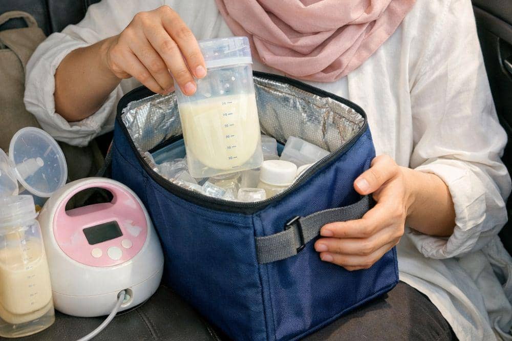 7 Persiapan Ibu Menyusui Mudik ke Luar Kota untuk Pertama Kalinya