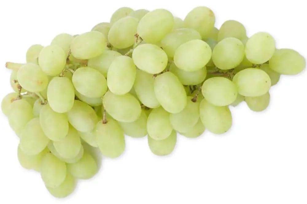 10 Jenis Anggur Beserta Ciri-Cirinya, Ada yang Unik dan Premium!  (5).jpg