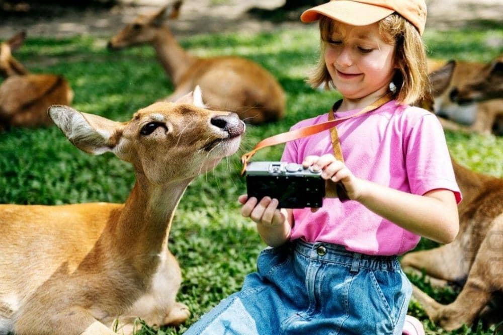 Anak dengan rusa