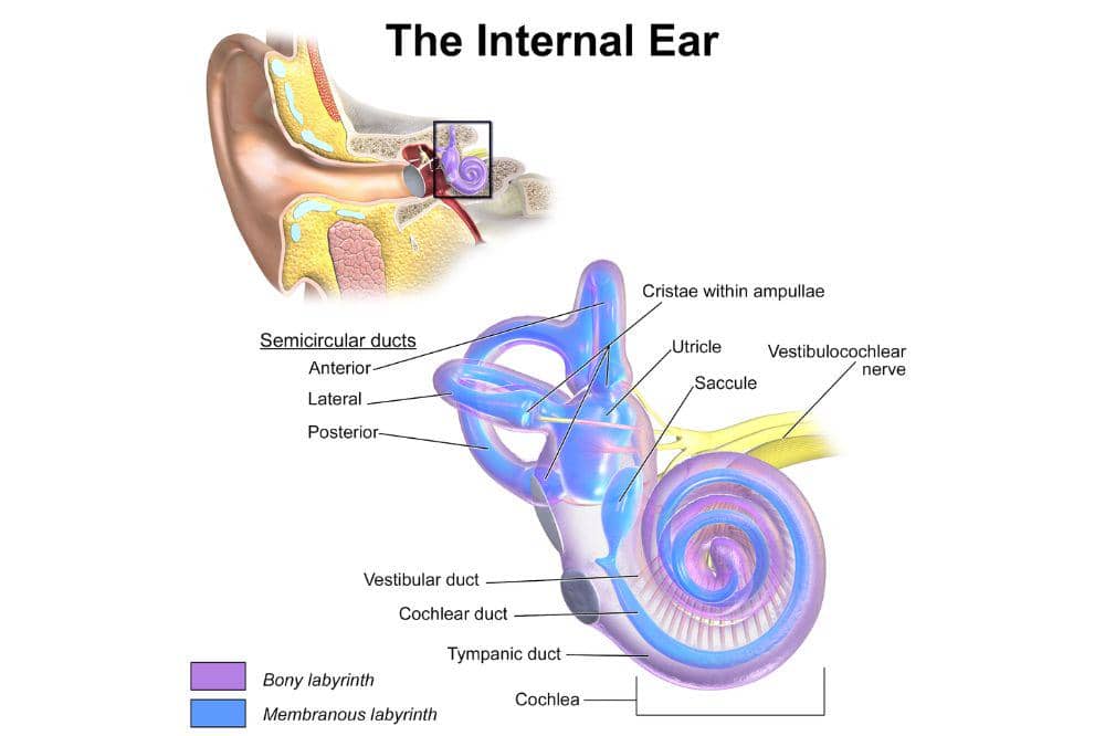 4 Penyebab Telinga Kiri Berdenging Menurut Kesehatan