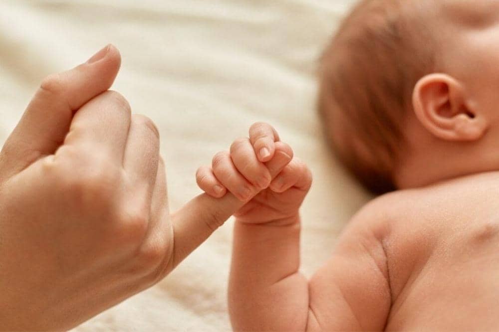 Freepik/user18526052