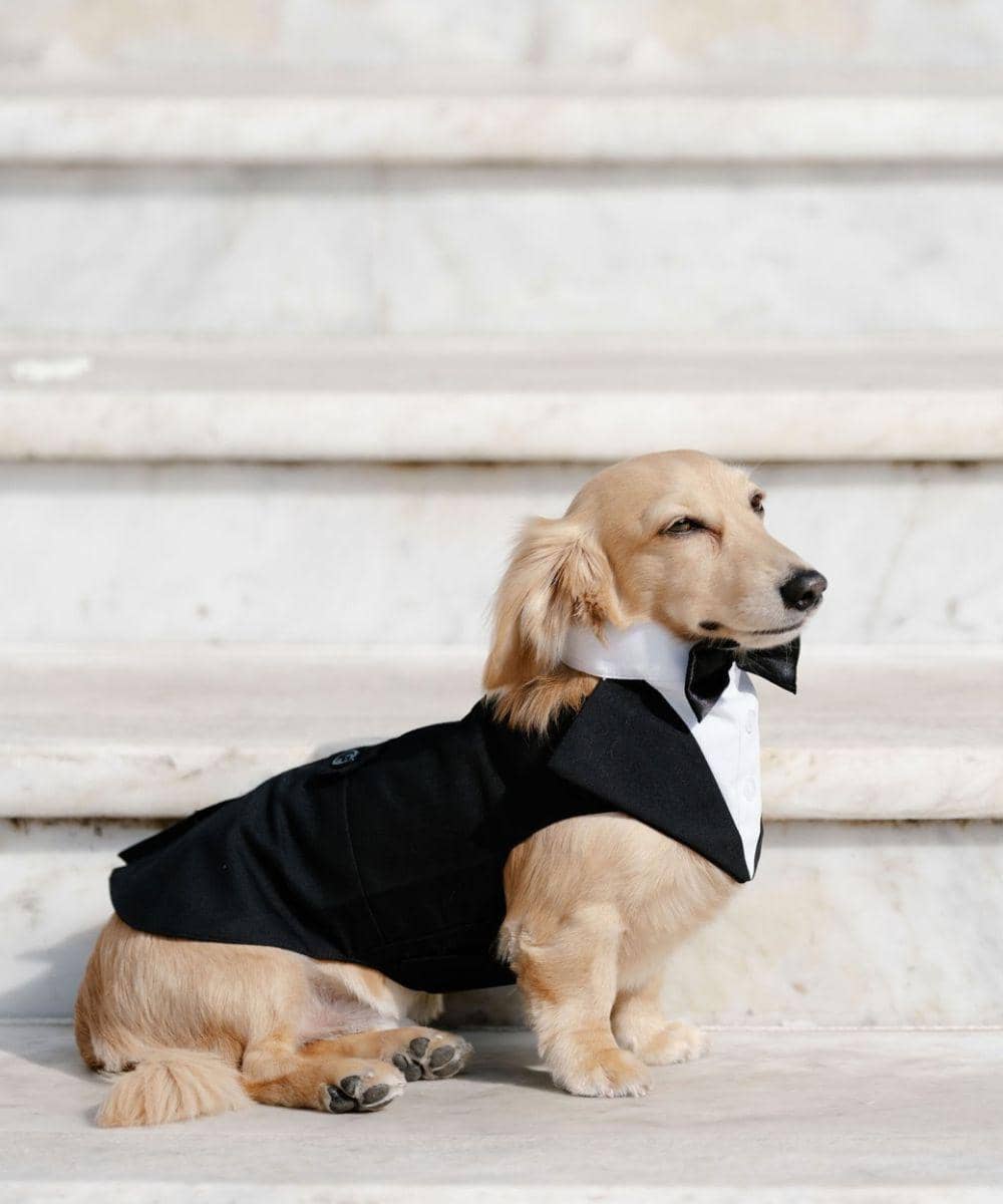 Potret Pernikahan Pembalap F1 Charles Leclerc 