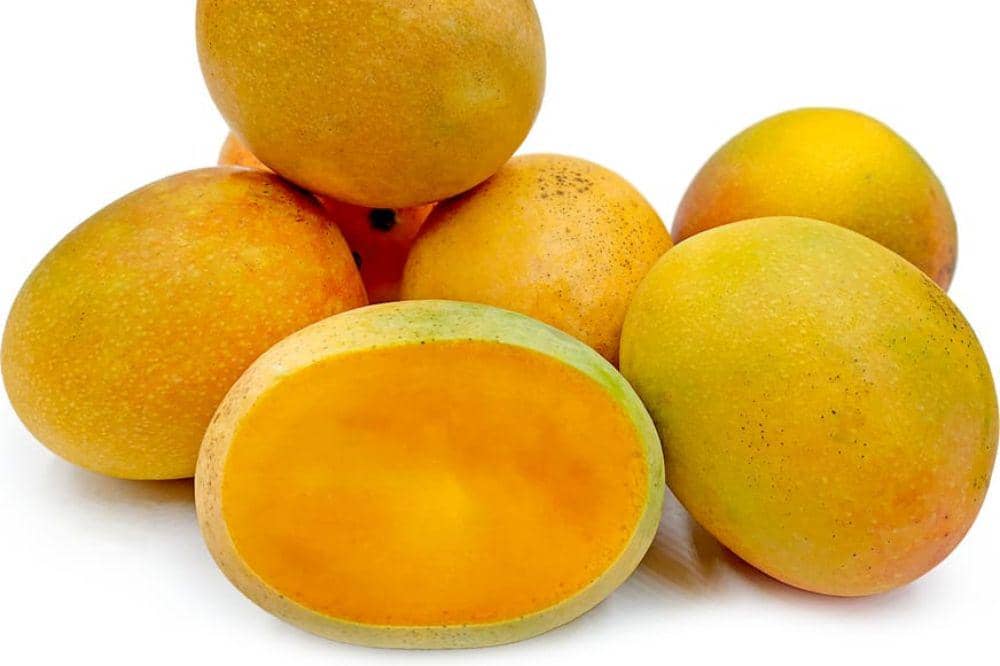 9 Jenis Mangga yang Ada di Indonesia, Kenali Rasa dan Teksturnya (2).jpg