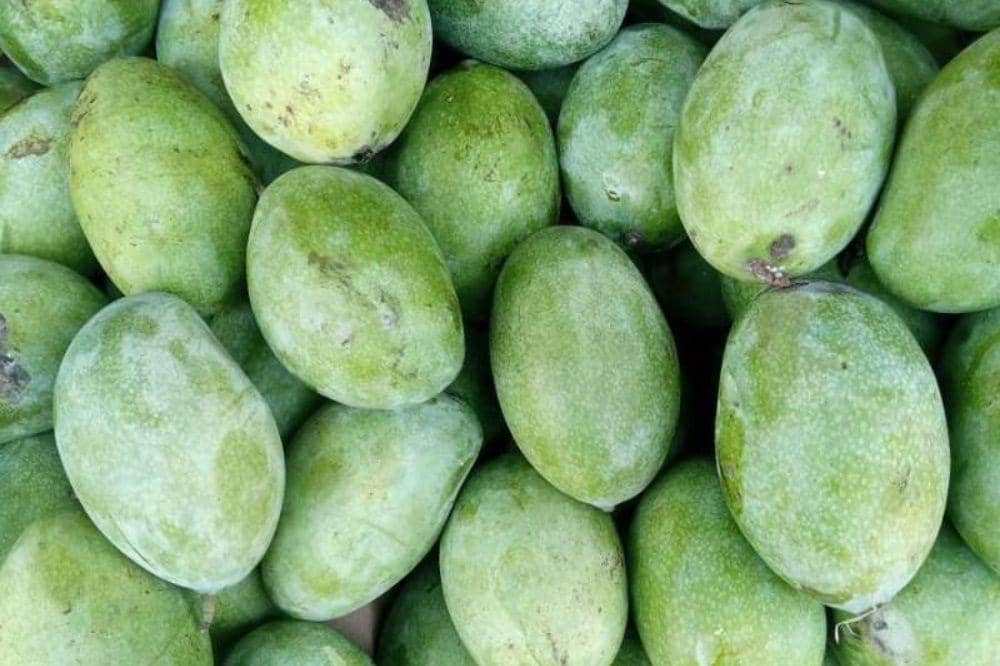 9 Jenis Mangga yang Ada di Indonesia, Kenali Rasa dan Teksturnya (3).jpg