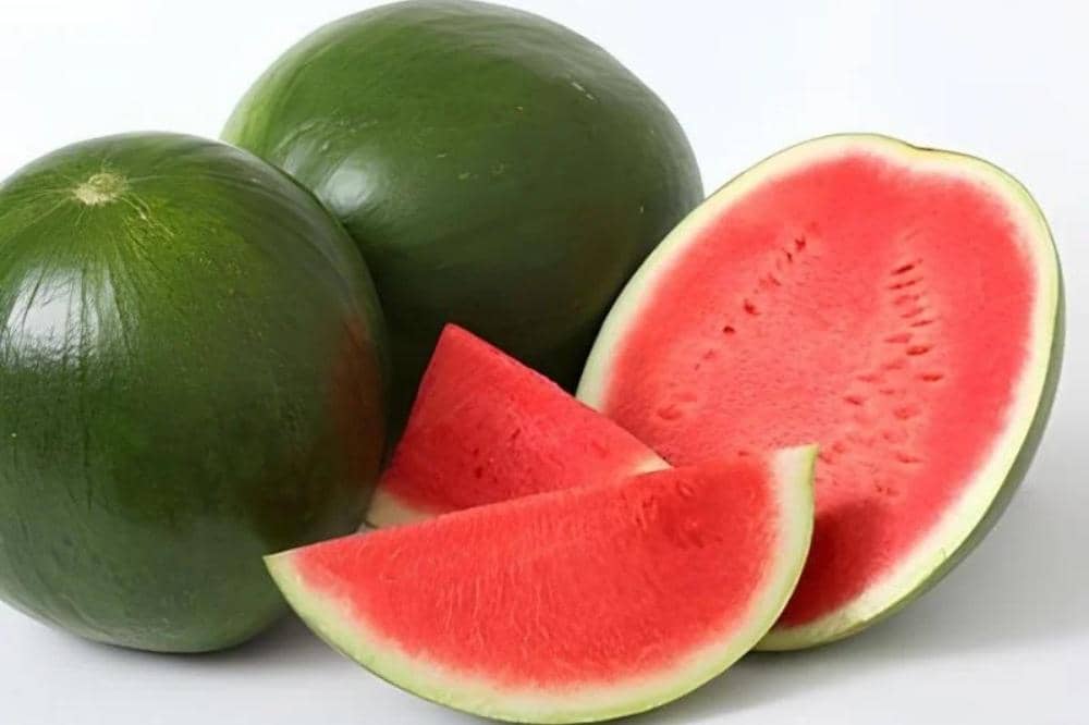 10 Jenis Semangka dan Ciri Khasnya yang Bisa Jadi Pilihan Favoritmu_20260309_042404_0002.jpg