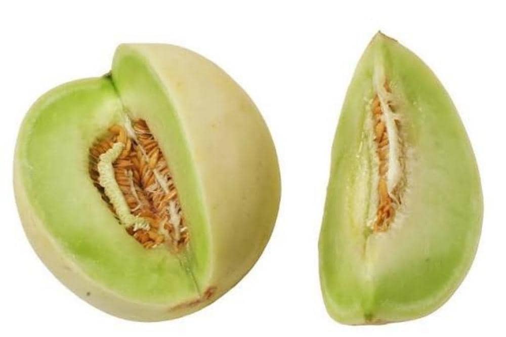 5 Jenis Melon yang Ada di Indonesia, Populer dan Wajib Dicoba_20260309_080522_0004.jpg