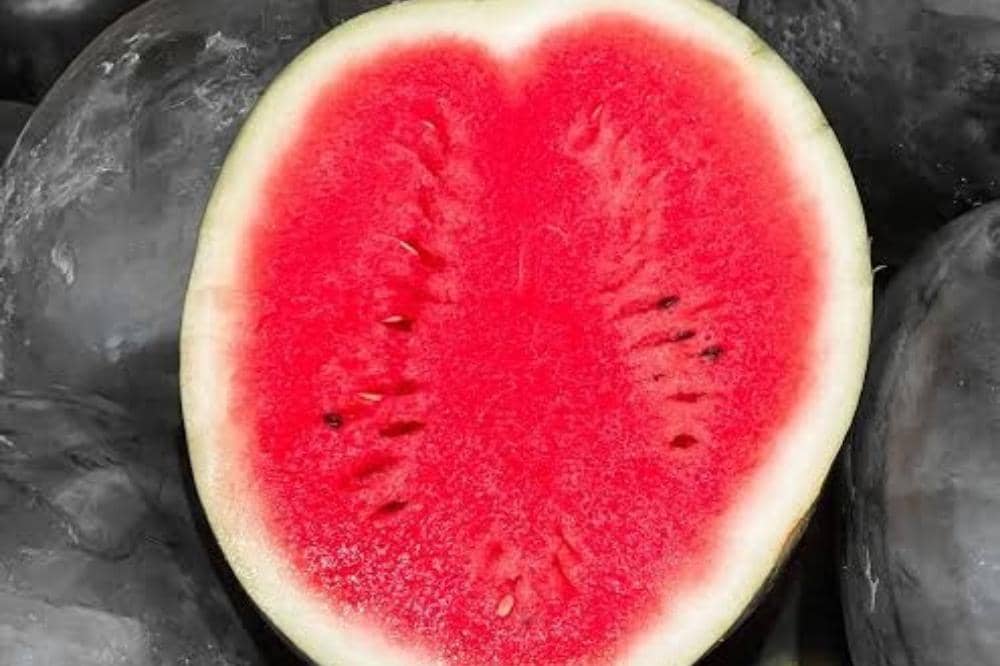 10 Jenis Semangka dan Ciri Khasnya yang Bisa Jadi Pilihan Favoritmu_20260309_042404_0007.jpg