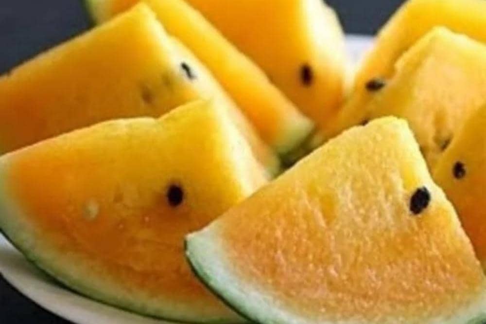 10 Jenis Semangka dan Ciri Khasnya yang Bisa Jadi Pilihan Favoritmu_20260309_042404_0003.jpg