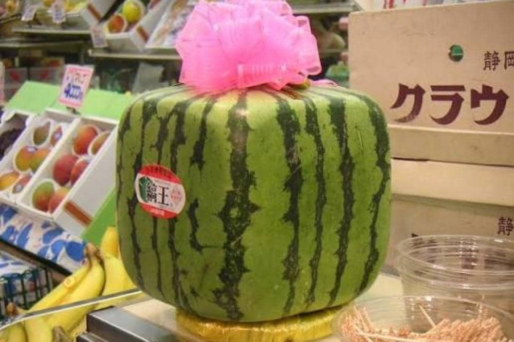 10 Jenis Semangka dan Ciri Khasnya yang Bisa Jadi Pilihan Favoritmu_20260309_042404_0010.jpg