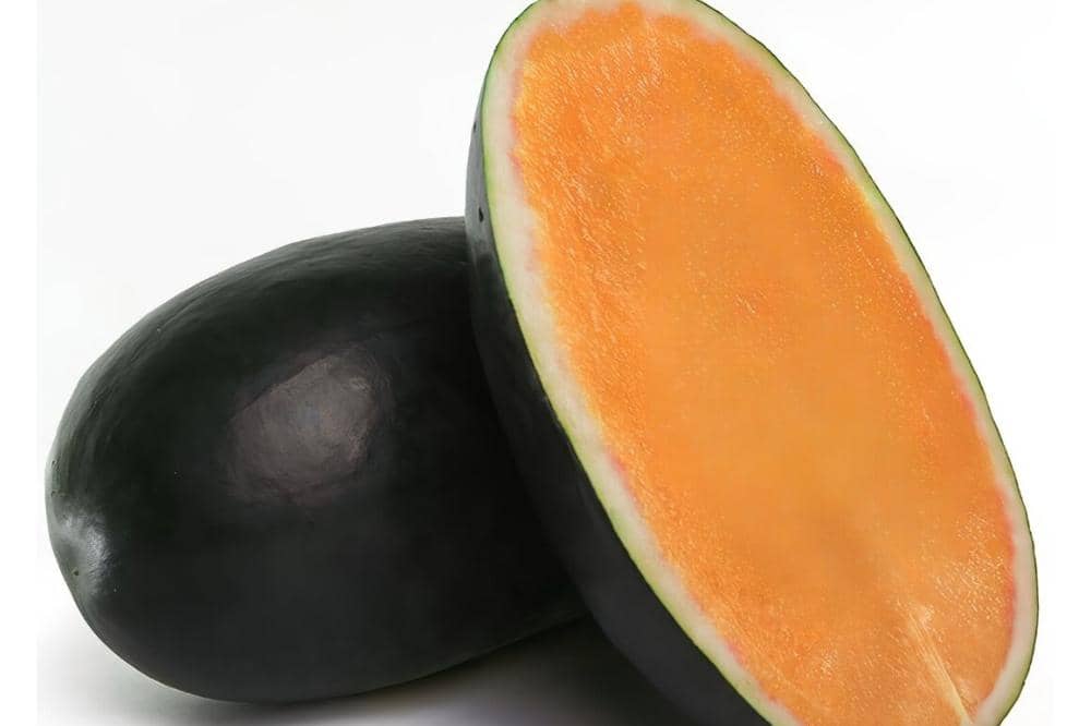 10 Jenis Semangka dan Ciri Khasnya yang Bisa Jadi Pilihan Favoritmu_20260309_042404_0005.jpg