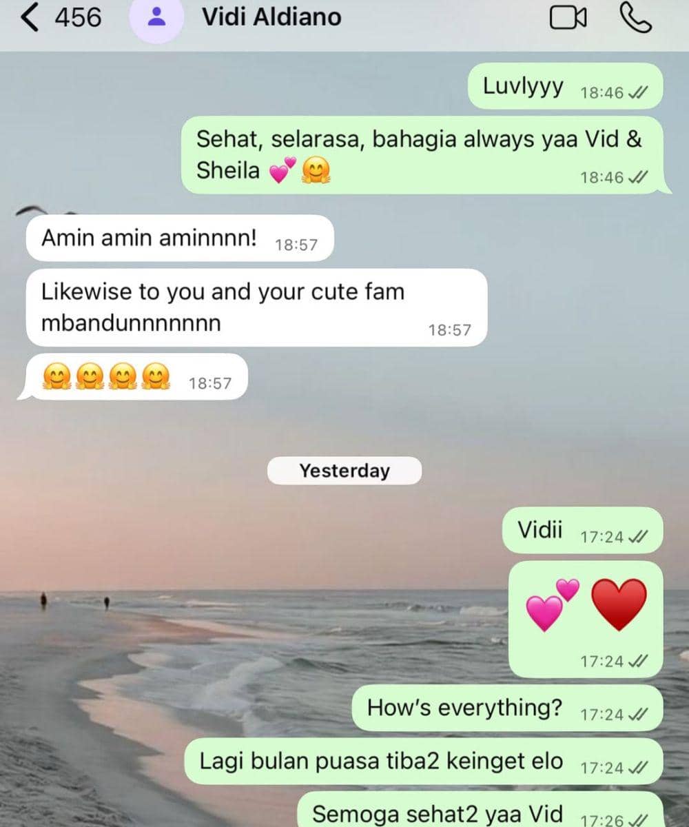 Kumpulan Chat Artis yang Bersaksi Vidi Aldiano Orang Baik 2