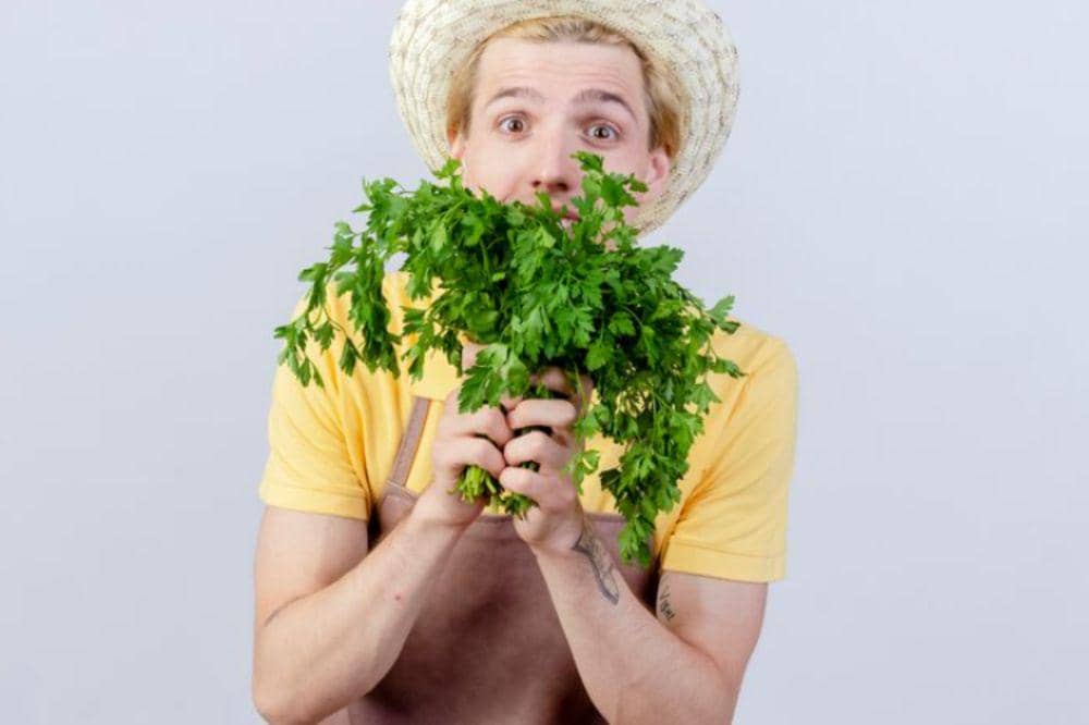 7 Manfaat Seledri untuk Kesuburan dan Kesehatan