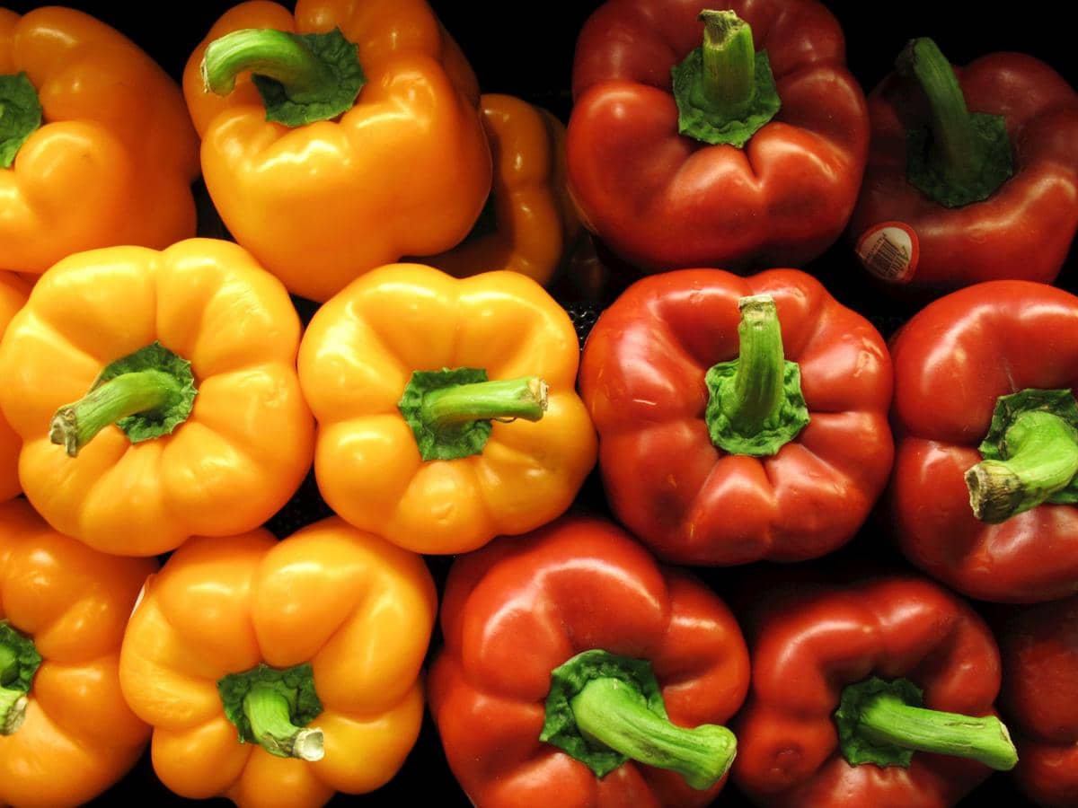 Unsplash.com/Freysteinn G. Jonsson