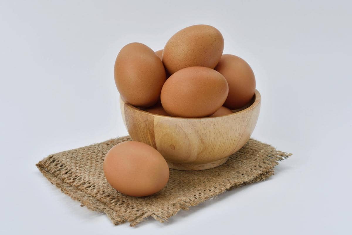 Telur