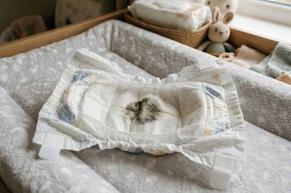 Kenapa Pup Bayi Berwarna Hitam? Ini Penyebabnya