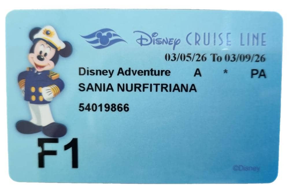 Disney Cruise