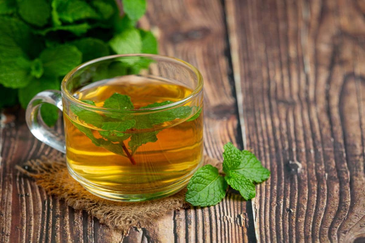 Menikmati teh peppermint