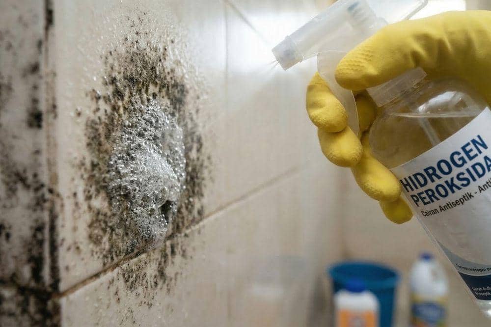 7 Cara Membersihkan Tembok Berjamur 4