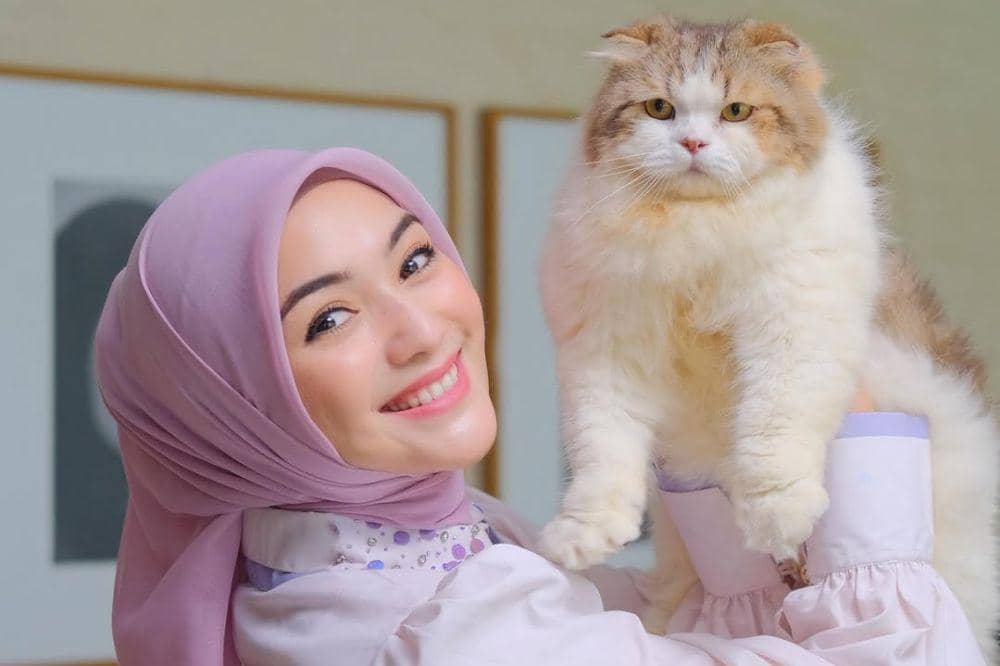 3 Hal Penting tentang Nutrisi Kucing agar Tetap Sehat dan Bahagia