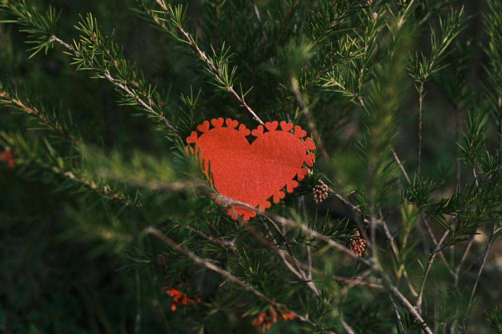 Apa Itu Tangki Cinta? Pahami 5 Bahan Bakar Utama untuk Mengisinya