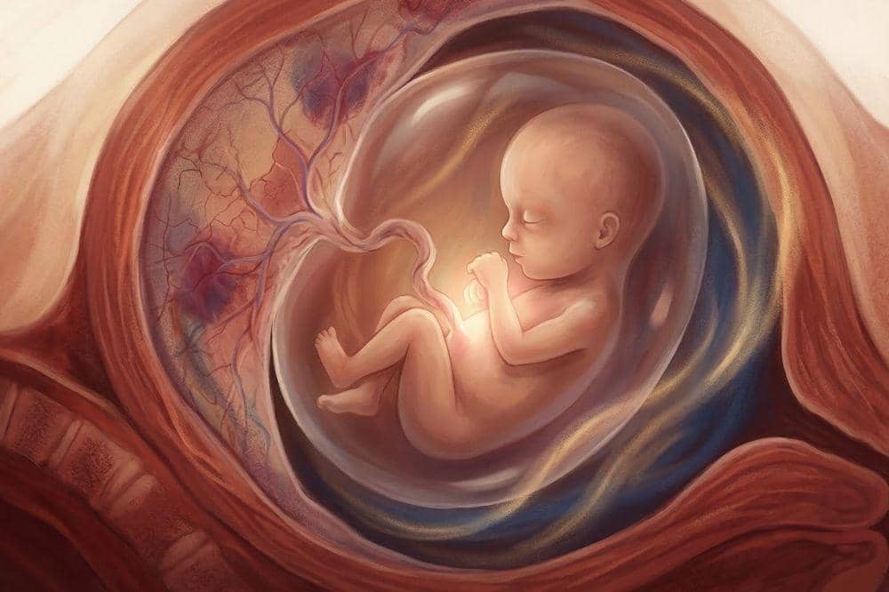 Popmama.com/Dewi Triana Rahmawati/AI