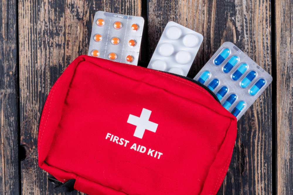 Panduan Mudik Sehat Bersama Anak dari IDAI 5.png