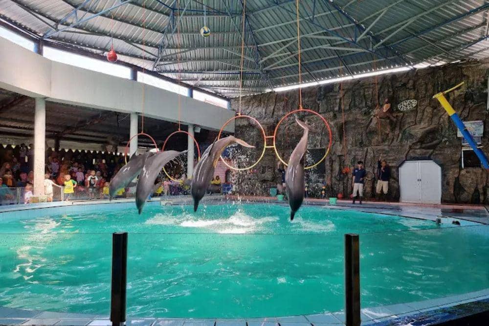 7 Tempat Wisata Kendal Terpopuler untuk Liburan Seru Bareng Keluarga.jpg