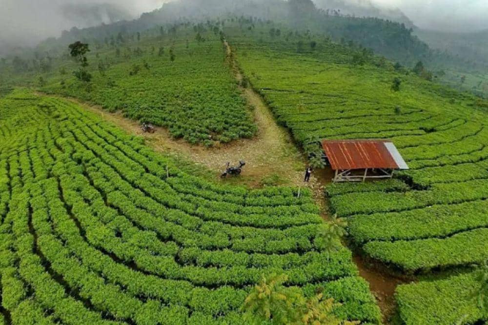 7 Tempat Wisata Kendal Terpopuler untuk Liburan Seru Bareng Keluarga.jpg