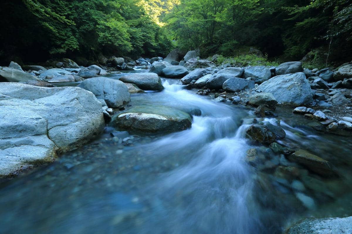 Jasad korban ditemukan di aliran sungai 