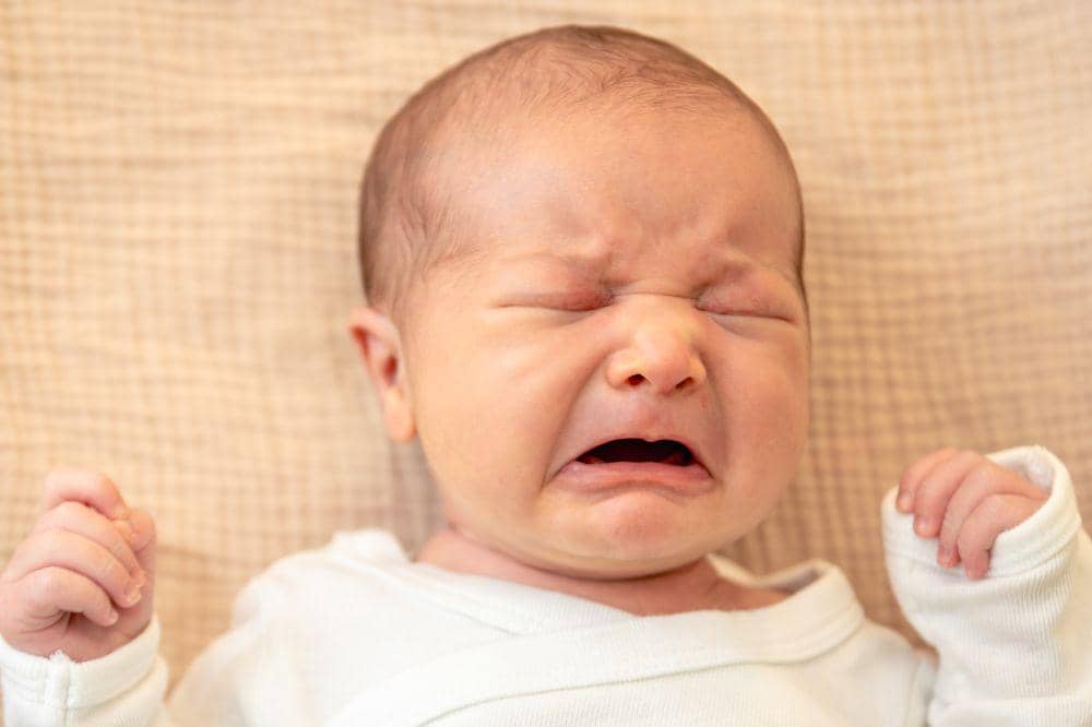 Freepik/pvproductions