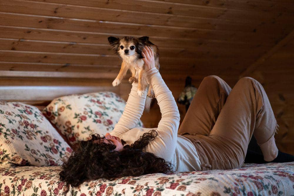 13 Cara Mengatasi Bulu Anjing Rontok