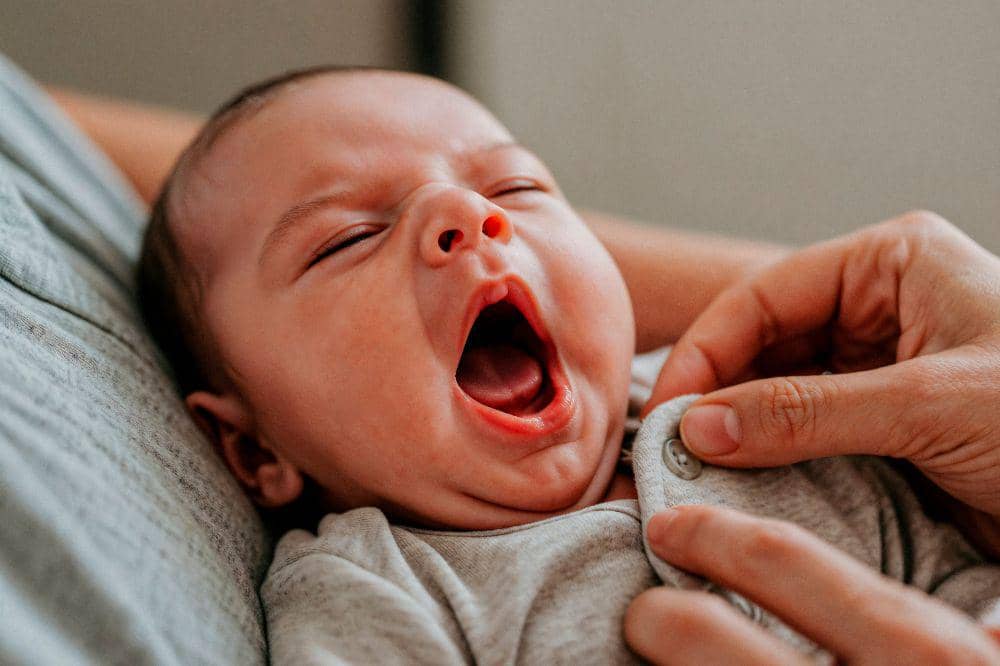 Freepik/pvproductions