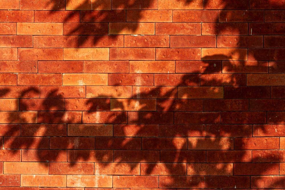 5 Penyebab Dinding Rumah Dingin 4