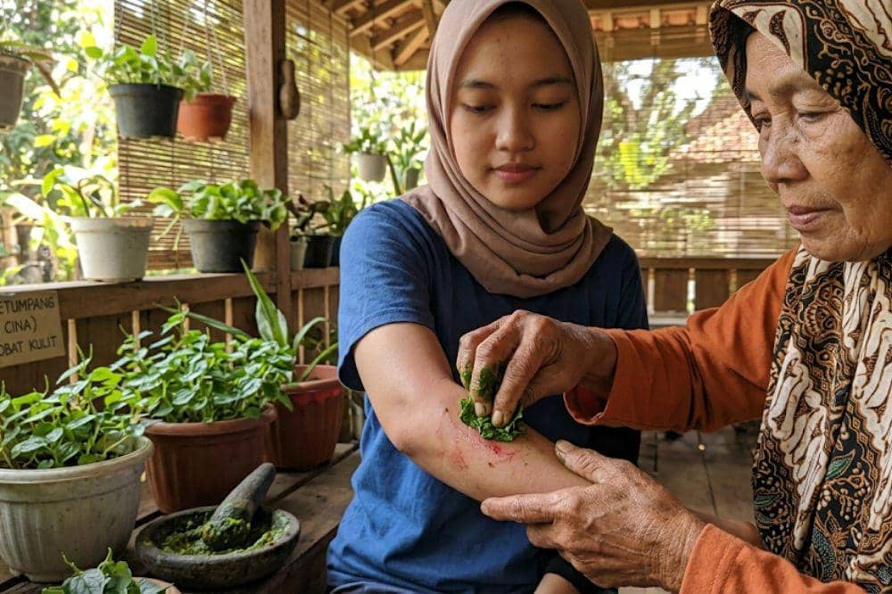 9 Manfaat Daun Ketumpang atau Sirih Cina untuk Kesehatan Tubuh